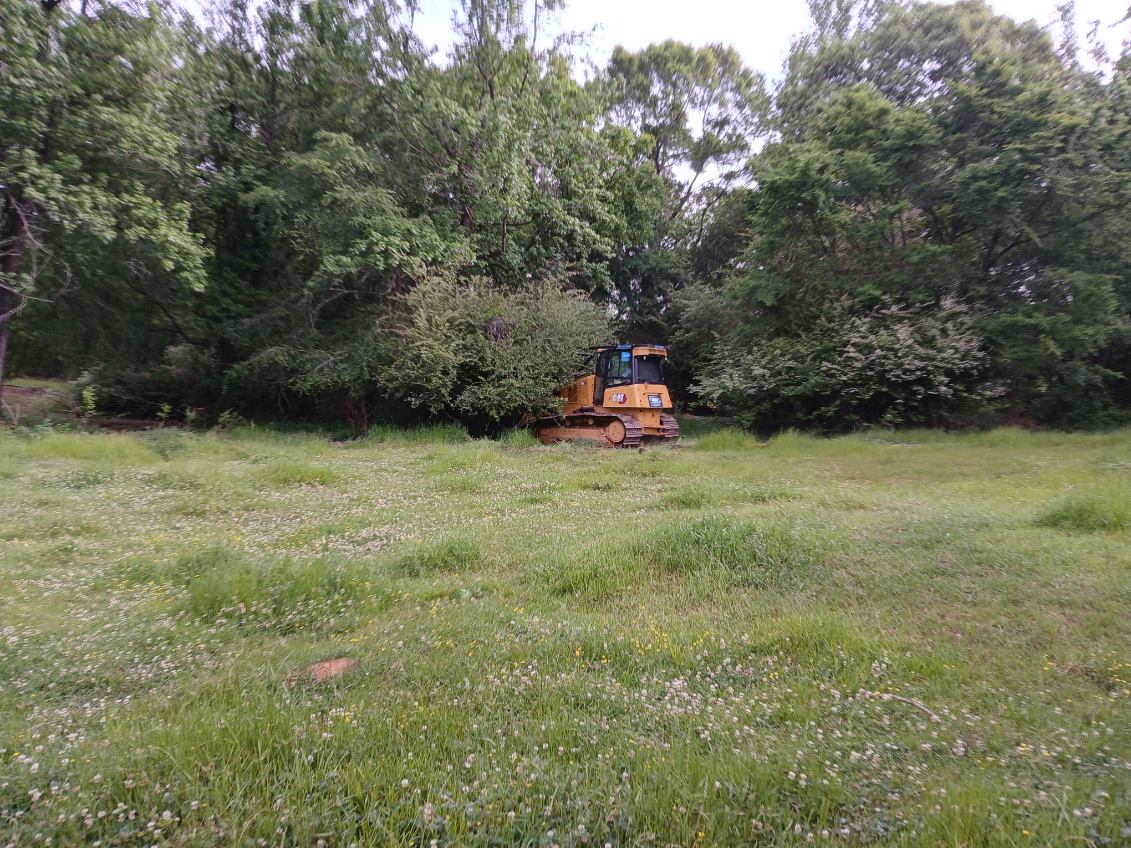 Brush Clearing