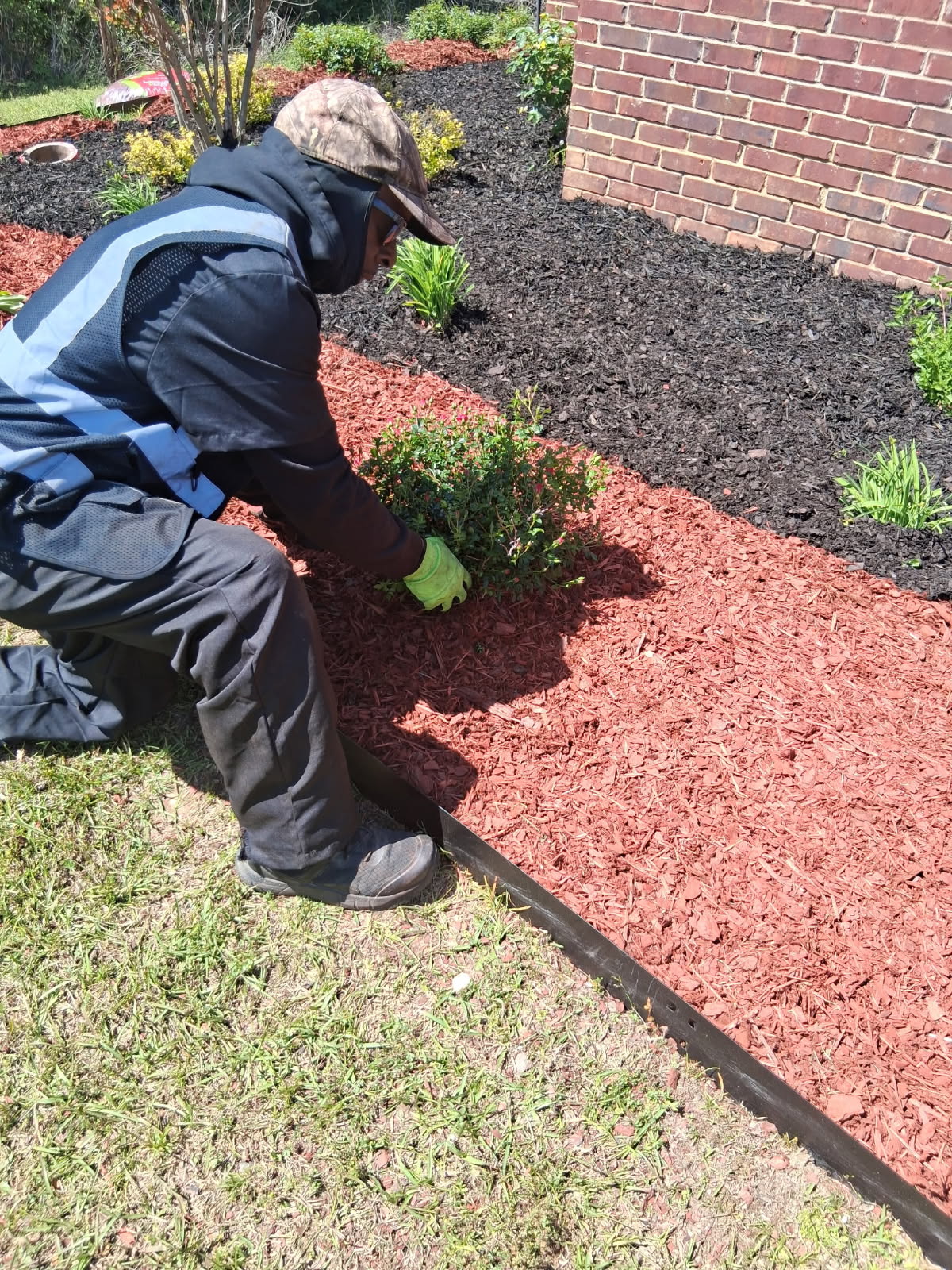Perry Young, owner of The Lawn Guy, planting shrubs in a Mississippi flower bed