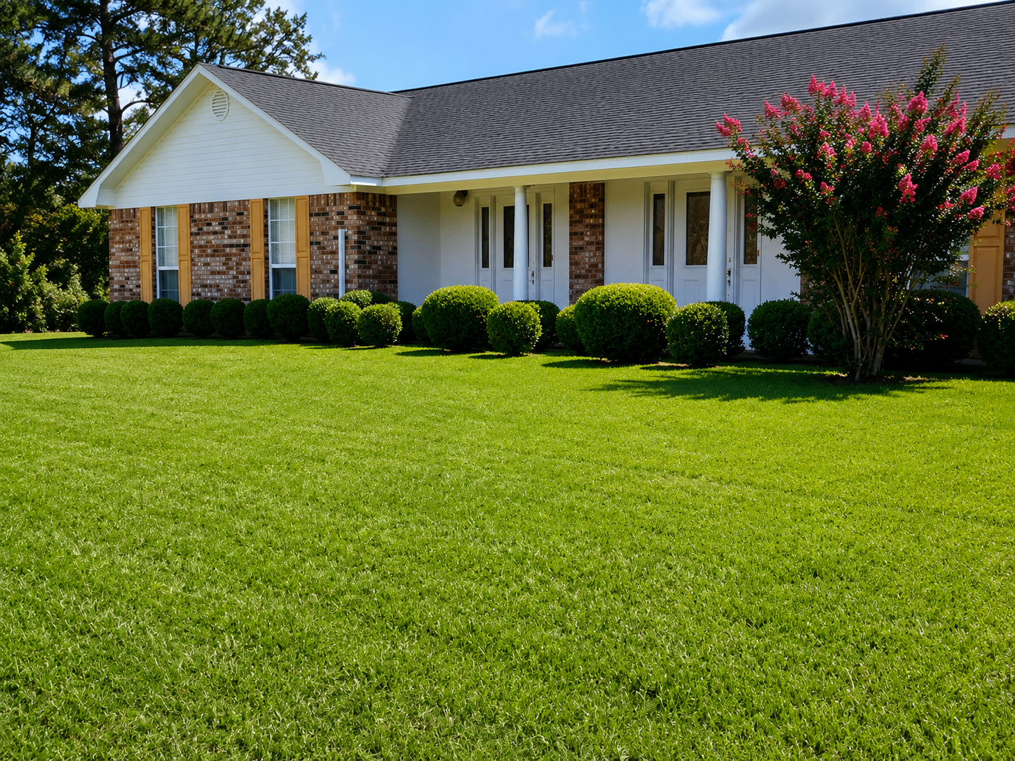 Weekly Mow